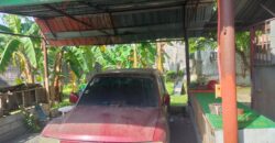 Residential Vacant Lot for Sale in Paranaque City