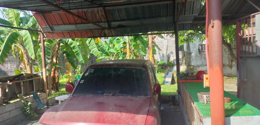 Residential Vacant Lot for Sale in Paranaque City