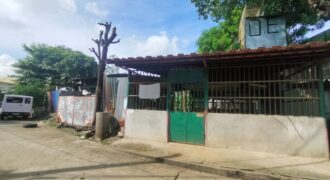 Residential Vacant Lot for Sale in Paranaque City