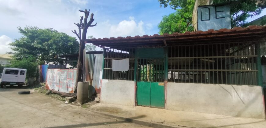 Residential Vacant Lot for Sale in Paranaque City