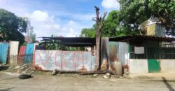 Residential Vacant Lot for Sale in Paranaque City