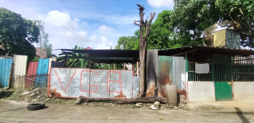 Residential Vacant Lot for Sale in Paranaque City