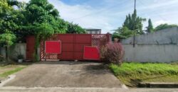 Residential Lot for Sale in Paranaque City