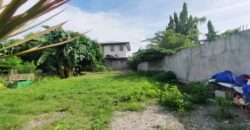 Residential Lot for Sale in Paranaque City