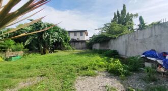 Residential Lot for Sale in Paranaque City