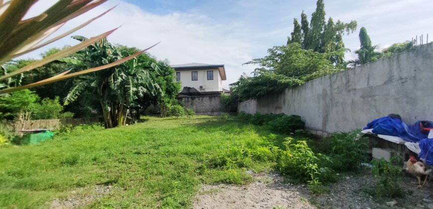 Residential Lot for Sale in Paranaque City