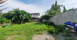 Residential Lot for Sale in Paranaque City
