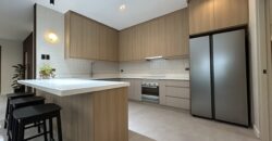 Stylish Luxury Brand New Home on a Corner Lot in South Peak Subd. San Pedro Laguna