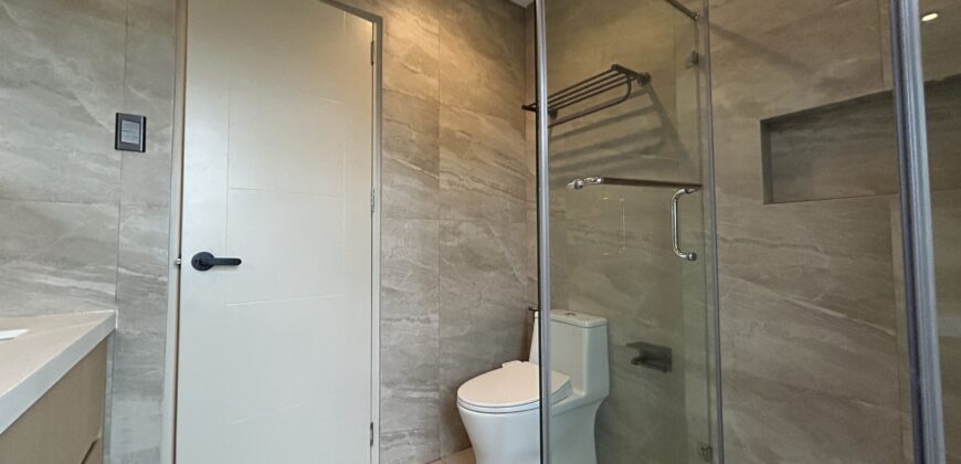 Stylish Luxury Brand New Home on a Corner Lot in South Peak Subd. San Pedro Laguna