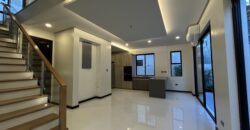 3 Level Towering Beauty in BF Homes Paranaque