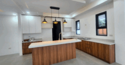 Modern Masterpiece: Private Pool, 4-Car Garage Brand New Home in BF Homes Paranaque