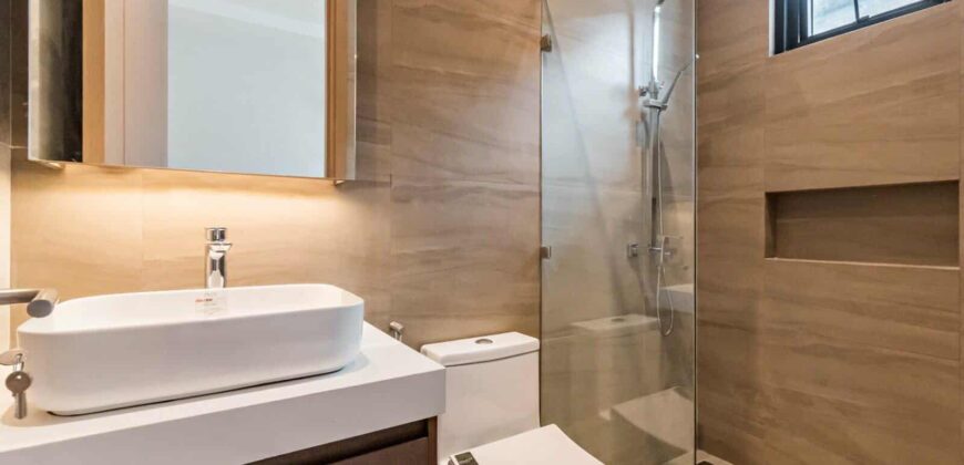 Brand New Modern House and Lot For Sale in BF Homes, Paranaque