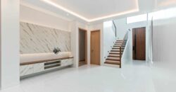 Brand New Modern House and Lot For Sale in BF Homes, Paranaque