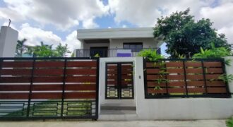 Brand New Modern House and Lot with Spacious Gardens for Sale in Paranaque