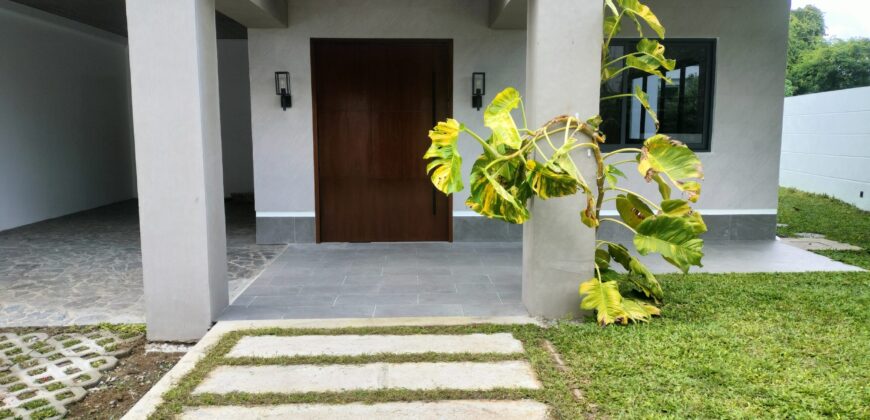 Brand New Modern House and Lot with Spacious Gardens for Sale in Paranaque