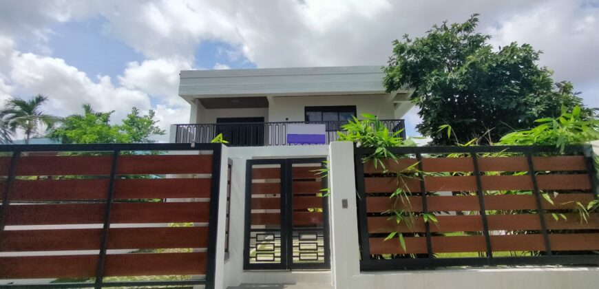 Brand New Modern House and Lot with Spacious Gardens for Sale in Paranaque