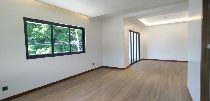 Brand New Modern House and Lot with Spacious Gardens for Sale in Paranaque