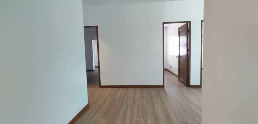 Brand New Modern House and Lot with Spacious Gardens for Sale in Paranaque