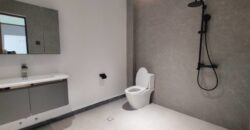 Brand New Modern House and Lot with Spacious Gardens for Sale in Paranaque