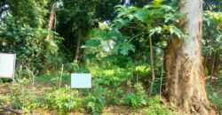 Residential Lot For Sale in Alabang Muntinlupa