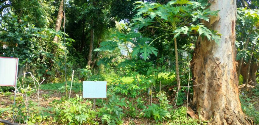 Residential Lot For Sale in Alabang Muntinlupa