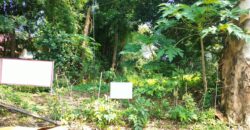 Residential Lot For Sale in Alabang Muntinlupa