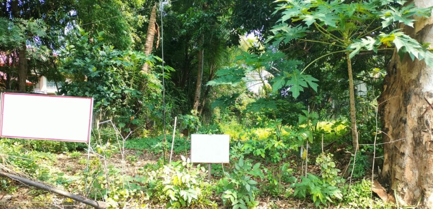 Residential Lot For Sale in Alabang Muntinlupa