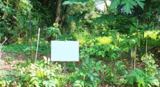 Residential Lot For Sale in Alabang Muntinlupa