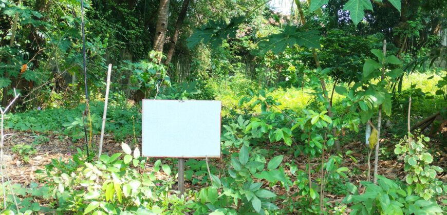 Residential Lot For Sale in Alabang Muntinlupa