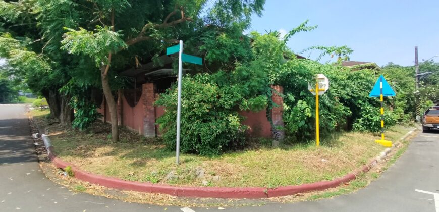 Corner House and lot for Sale in Alabang Muntinlupa