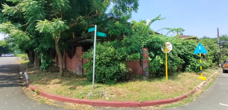 Corner House and lot for Sale in Alabang Muntinlupa