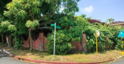 Corner House and lot for Sale in Alabang Muntinlupa