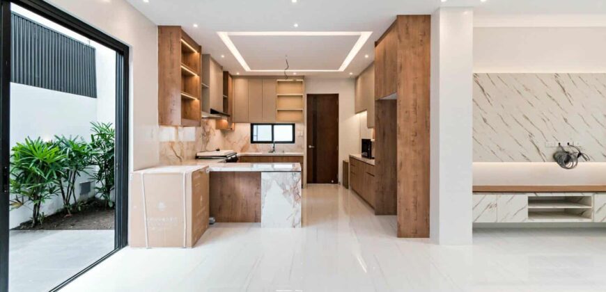 Brand New Modern House and Lot For Sale in BF Homes, Paranaque