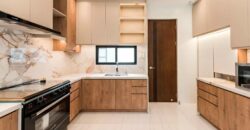 Brand New Modern House and Lot For Sale in BF Homes, Paranaque